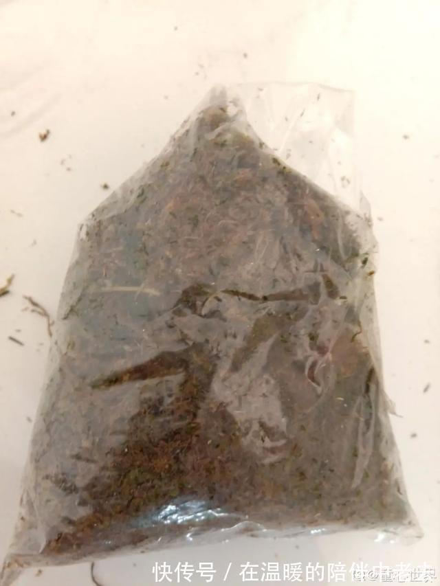 养花技巧公认难养的3种花,高手用经验告诉你,怎样快速开花