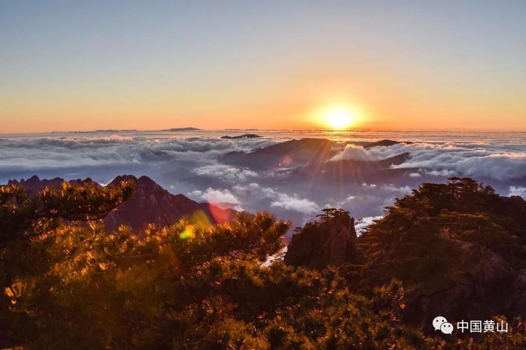 壮观绝美！黄山再现“海”上日出！