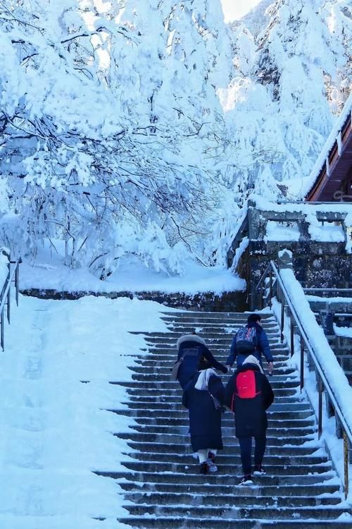 南国的雪山仙境，这里藏着下雪天所有的美好