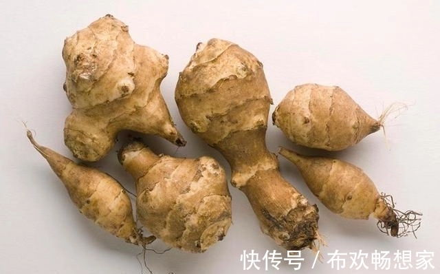 奇葩的入侵植物没人厌，开花是菊收获是姜，比姜不辣好吃百倍