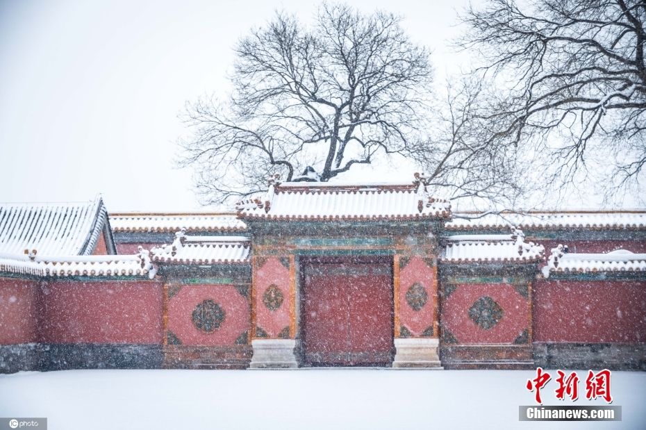 红墙|红墙碧瓦迎春雪 多图欣赏故宫雪中景