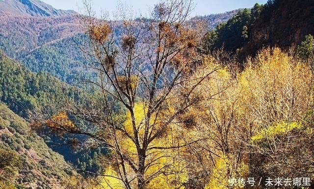 三大星座|感情里最常忽冷忽热的三大星座。但爱得痴心，只是不善表达