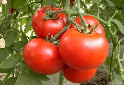 食物|子宫肌瘤的“催化剂”被揪出，医生：2类食物，尽快拉黑，别任性