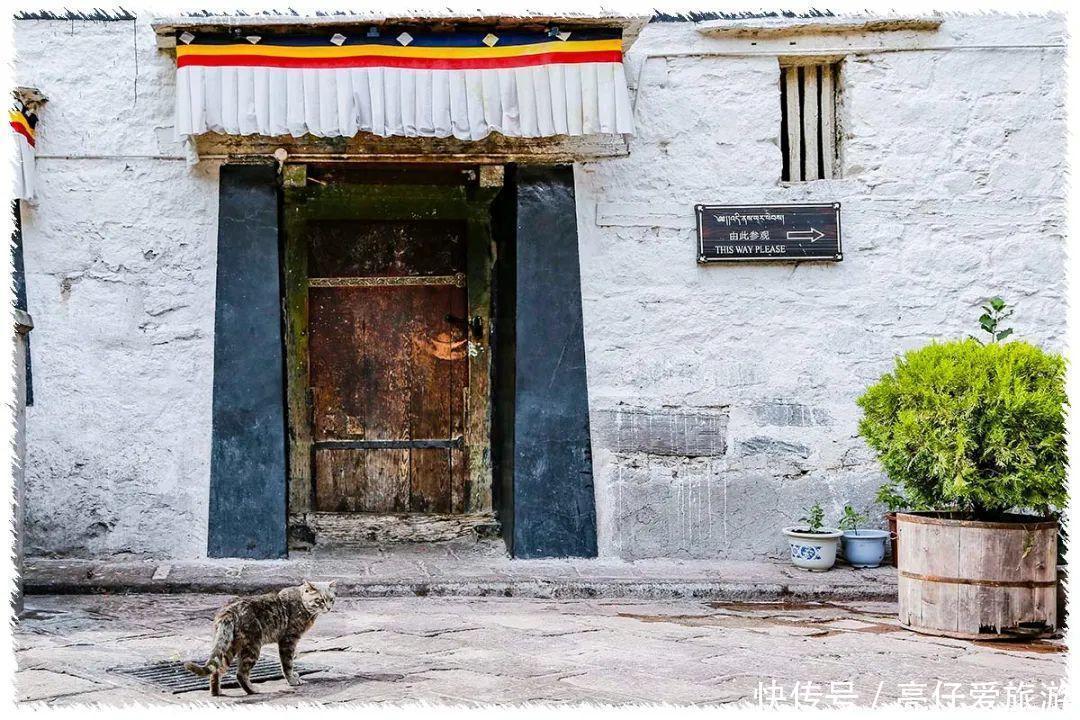 老年|西行漫记·20 大昭寺 拉萨之根