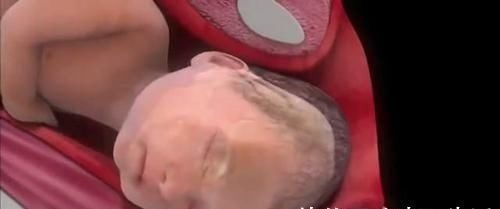 第三产程|顺产宝宝是怎么“生”的一组图带你了解全过程,妈妈其实不孤单