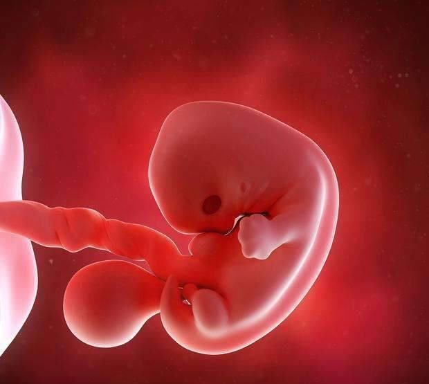 月经周期|胎心胎芽出现的时间,为何有早有晚?这3个原因很说明问题