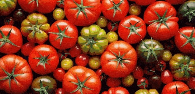 土豆千万不能和它一起吃经常这样搭配下饭的,赶紧看!