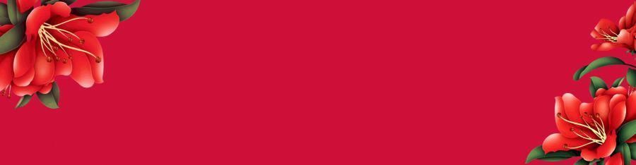 华安|上联“坐红楼,读水浒,说三国,梦西游”,网友的下联堪称经典