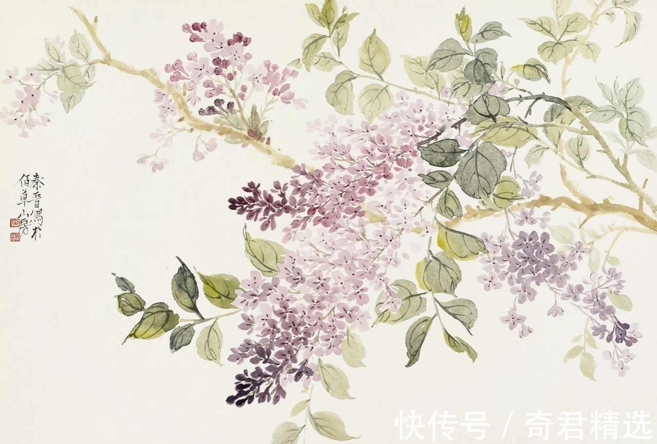 花卉$「津门网」用没骨法绘制花卉,这极其考验画家对笔墨色彩的把控