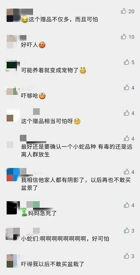 网购|男子网购盆栽后竟然……网友表示：这赠品太吓人了