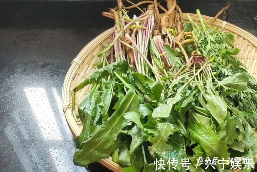 清热|农村这种野草,祛火清热,能喝又能吃,但不能多吃!