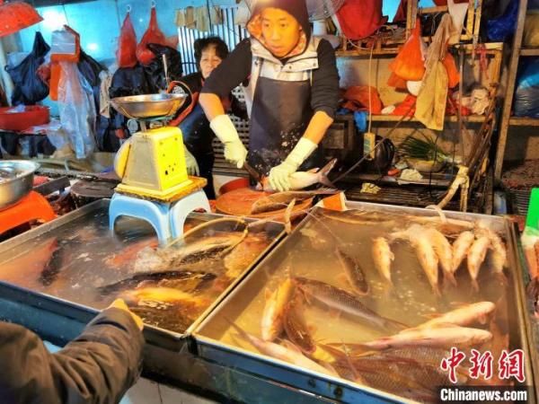  鲮鱼|一条鲮鱼，广东侨乡台山人冬日吃出“百味”