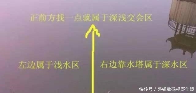 钓位|老钓手,打死不说的4种“好钓位”!