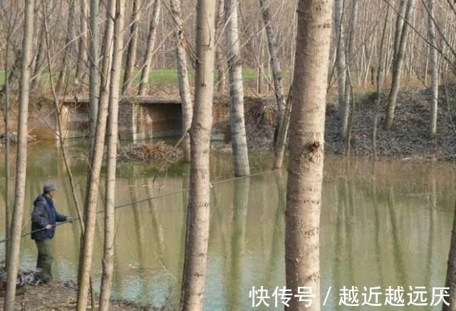 钓鱼想要有渔获,思路比钓法更重要