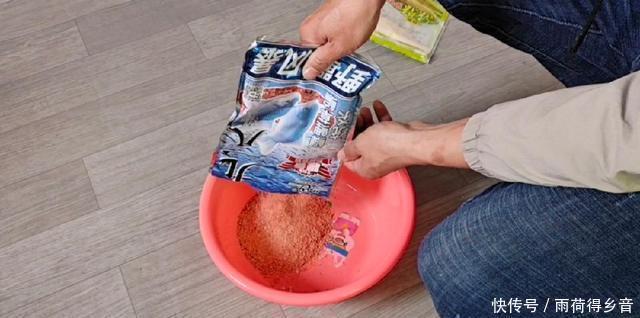 钓鲤鱼不需要太多料混合,配对这两种料,一年都不用换了