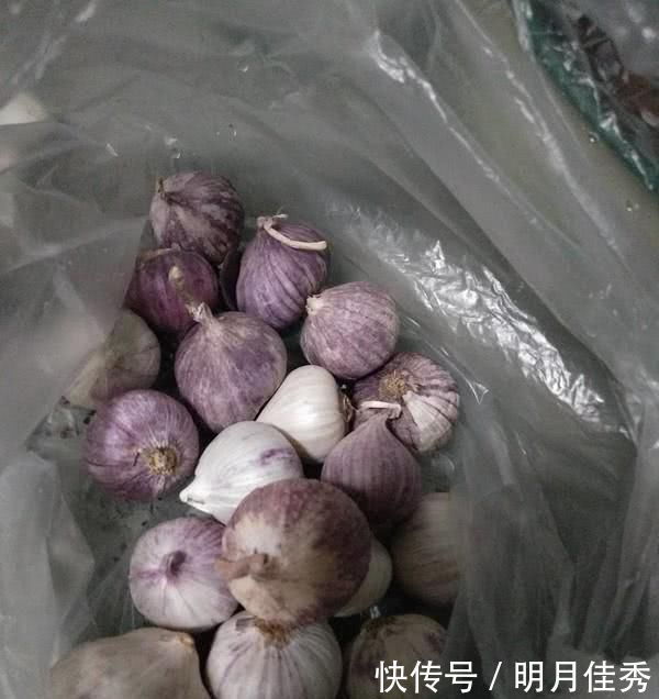 “它”是悲催的入侵物种,刚到中国,就成了盘中餐
