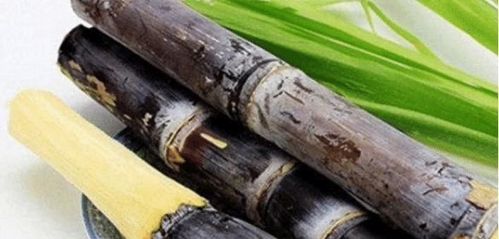 胎儿|这些水果堪称“胎儿杀手”,怀孕期间,孕妈尽量不要吃别再犯错