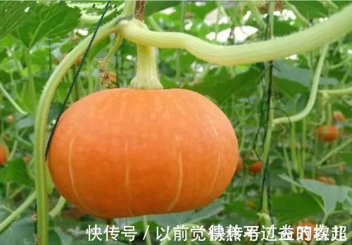 这些事|气血充足的女人,究竟长什么样子?平常做好这些事有助于养气补血