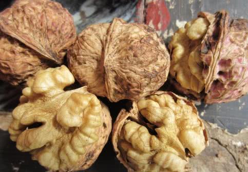 霉菌丝|核桃错误吃法，不仅不补脑，还有致癌的风险！