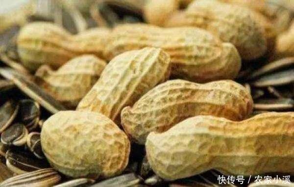 维生素e|原来吃虾皮并不补钙?医生:真正补钙的4种食物,很多人并不爱吃