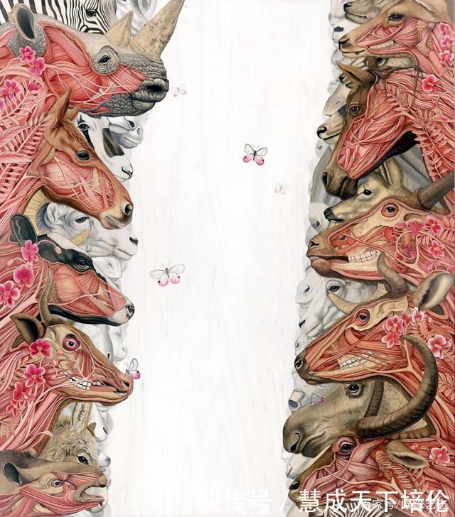 感恩|博齐奇的自然幻境异想天开的科学艺术,感恩生命的生物美学