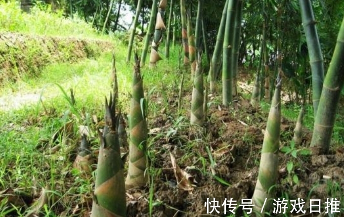 柳永!欧阳修高水平的10首诗词排行,《生查子 元夕》仅第二,第一是?