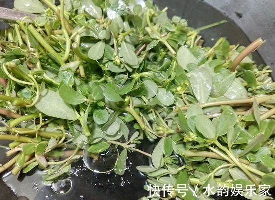 野菜|“天然降压药”终于被找到,早晚吃一点,刮油祛脂,降三高