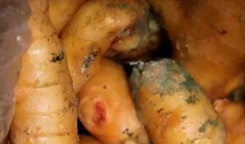 豆芽|比毒品还毒的3种蔬菜，个个都是害人精，你却还给孩子吃