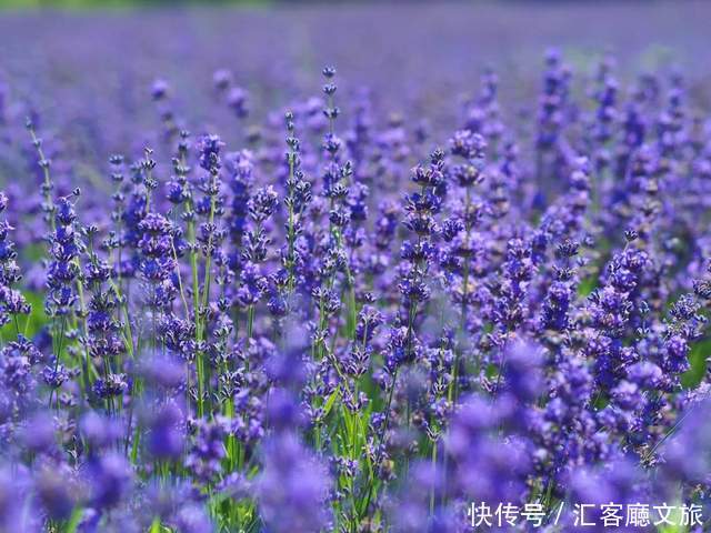 老年|如果一生只去一次新疆,这些地方你一定要知道