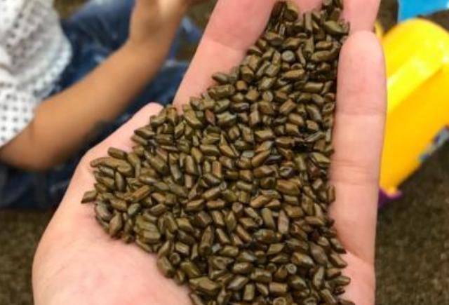 死对头|前列腺炎的“死对头”找到了,男人早晚多吃它,或助你远离炎症