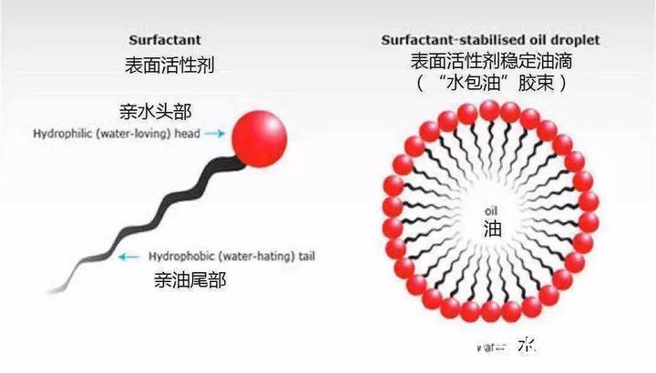 伪科学|皂基洗面奶真的毁脸吗，氨基酸一定就好用吗，别再相信这些伪科学