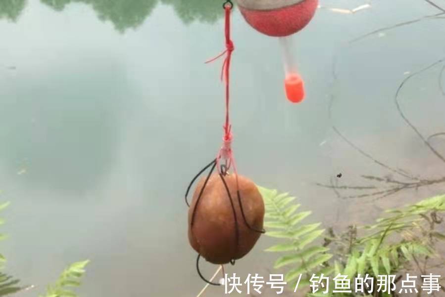 鲤鱼再“狡猾”,遇到这钓法也得快速上岸,钓友:再也不玩手竿了