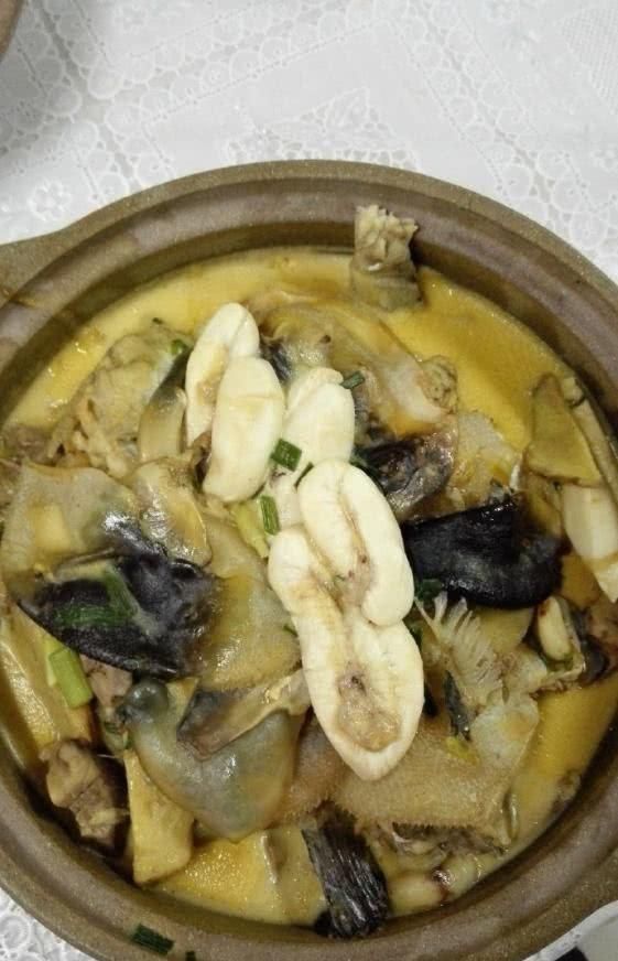 钓友|咬断鱼线、驱赶罗非鱼,珠江来了群“凶猛掠食者”,钓鱼人头疼