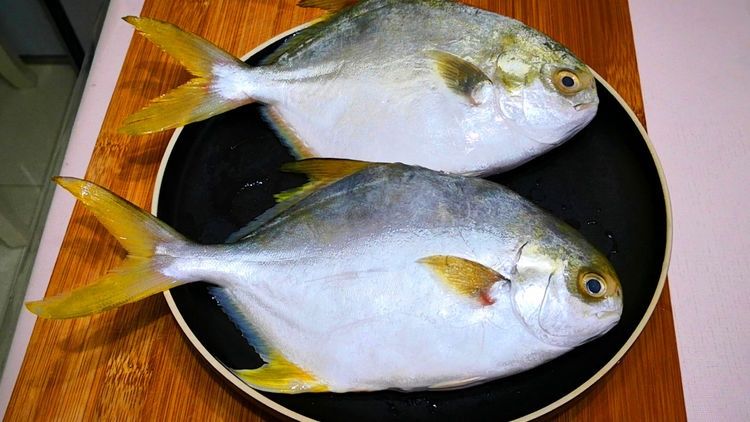 鲳鱼别做红烧了，教你秘制新吃法，比清蒸好吃，比红烧简单，香