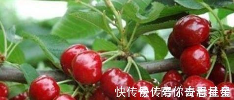 雪里红|会吃的人最健康,常吃三种食物,排毒护肝,减肥消脂,有益健康