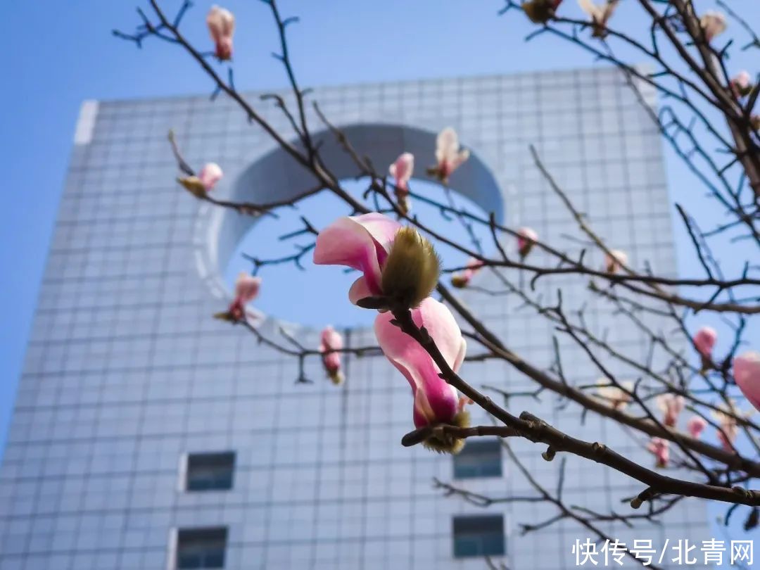 高校“校花”大比拼