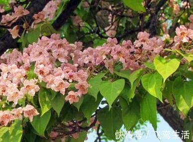 韩愈|韩愈的两首七绝，造语奇崛，寄意深远，令人赞不绝口