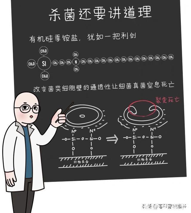 熟悉的味道 当女神脱下球鞋后，原来气味也会那样的酸爽