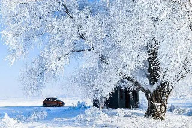 童话|冰天雪地，童话吉林