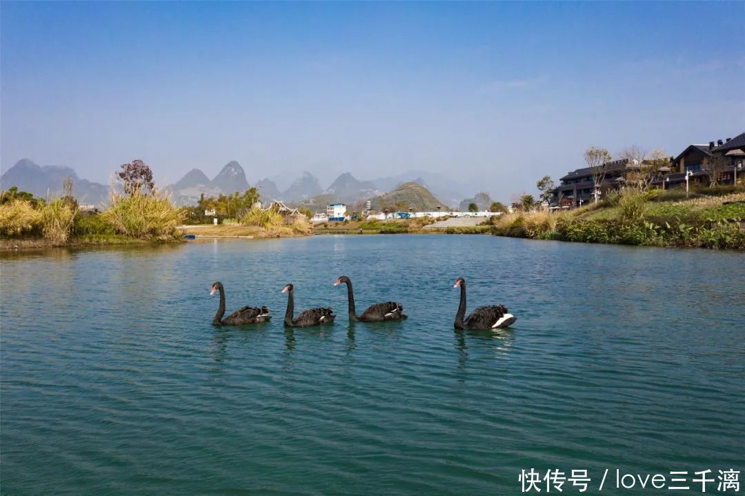 三千漓丨春风送暖百花开，正是赏景好时节