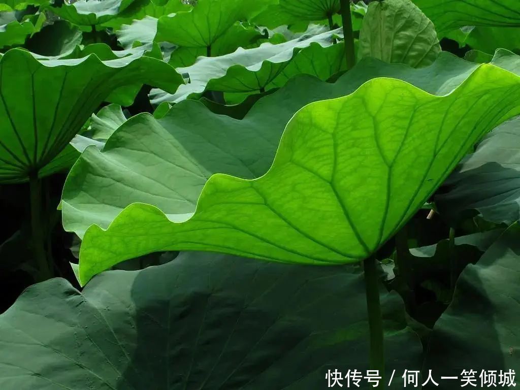 “瘦不下去”和“胖不起来”,其实都是身体出了问题,赶紧调理