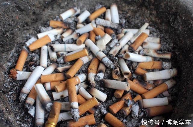 学会了这3种方法,再也不用担心植物生长没有劲了!