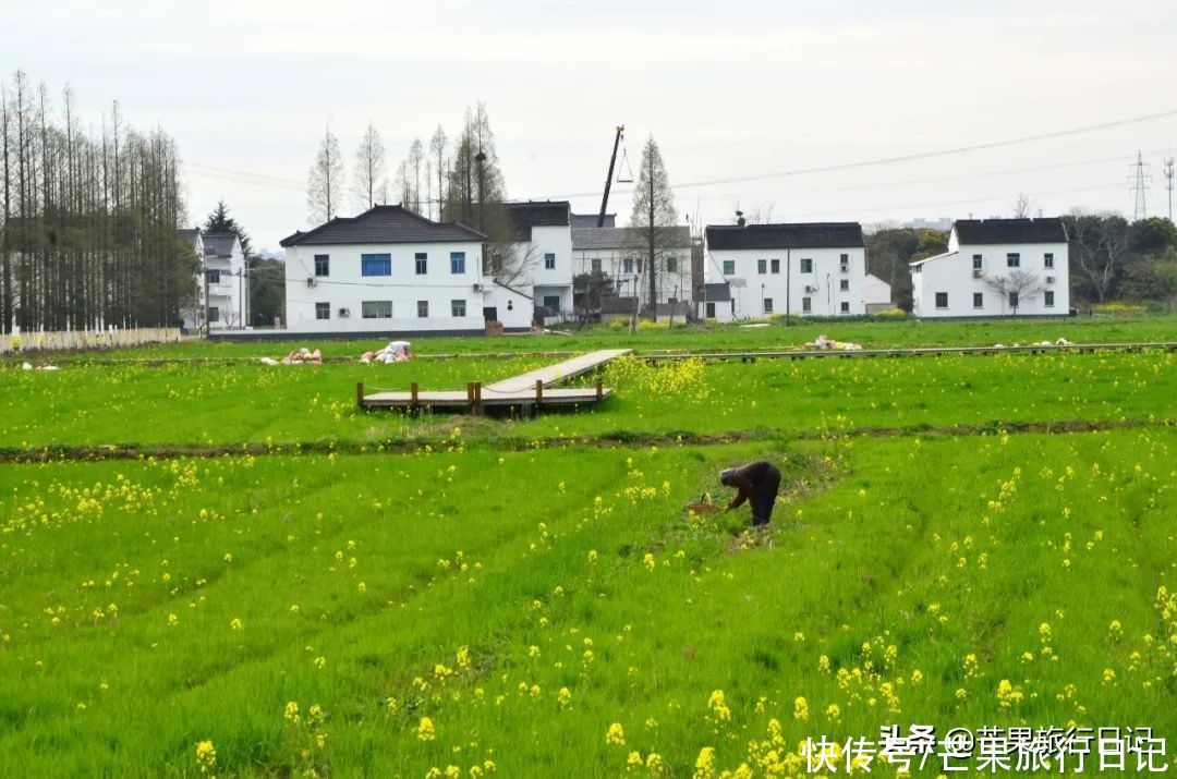 清明节该去趟江苏了，这份3000字的自由行攻略请拿好