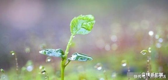 二胎|无论头胎还是二胎,若在这几个阶段出生,或许是一位有福气的宝宝