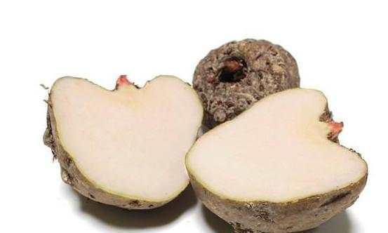 免疫系统|医生透露癌细胞特怕的几种食物,经常吃一点,癌症远离你