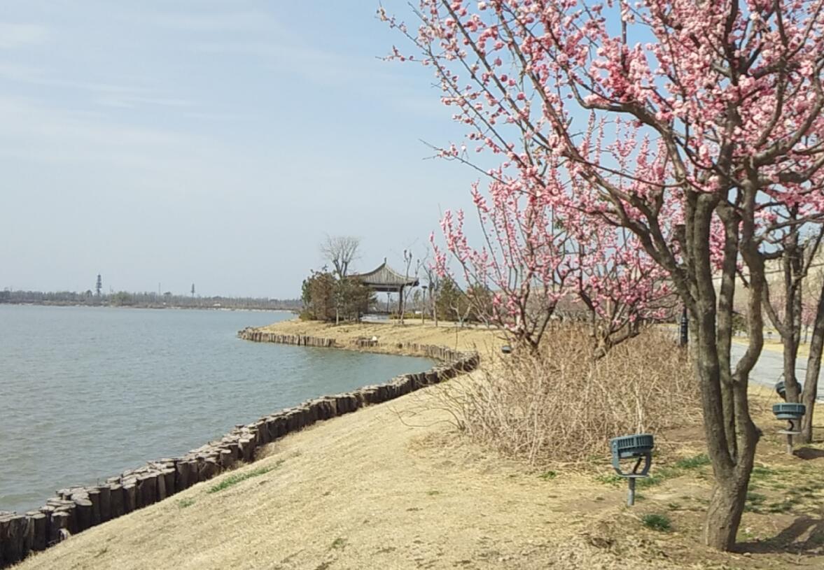 《古城焕春》 作者:田宜坤