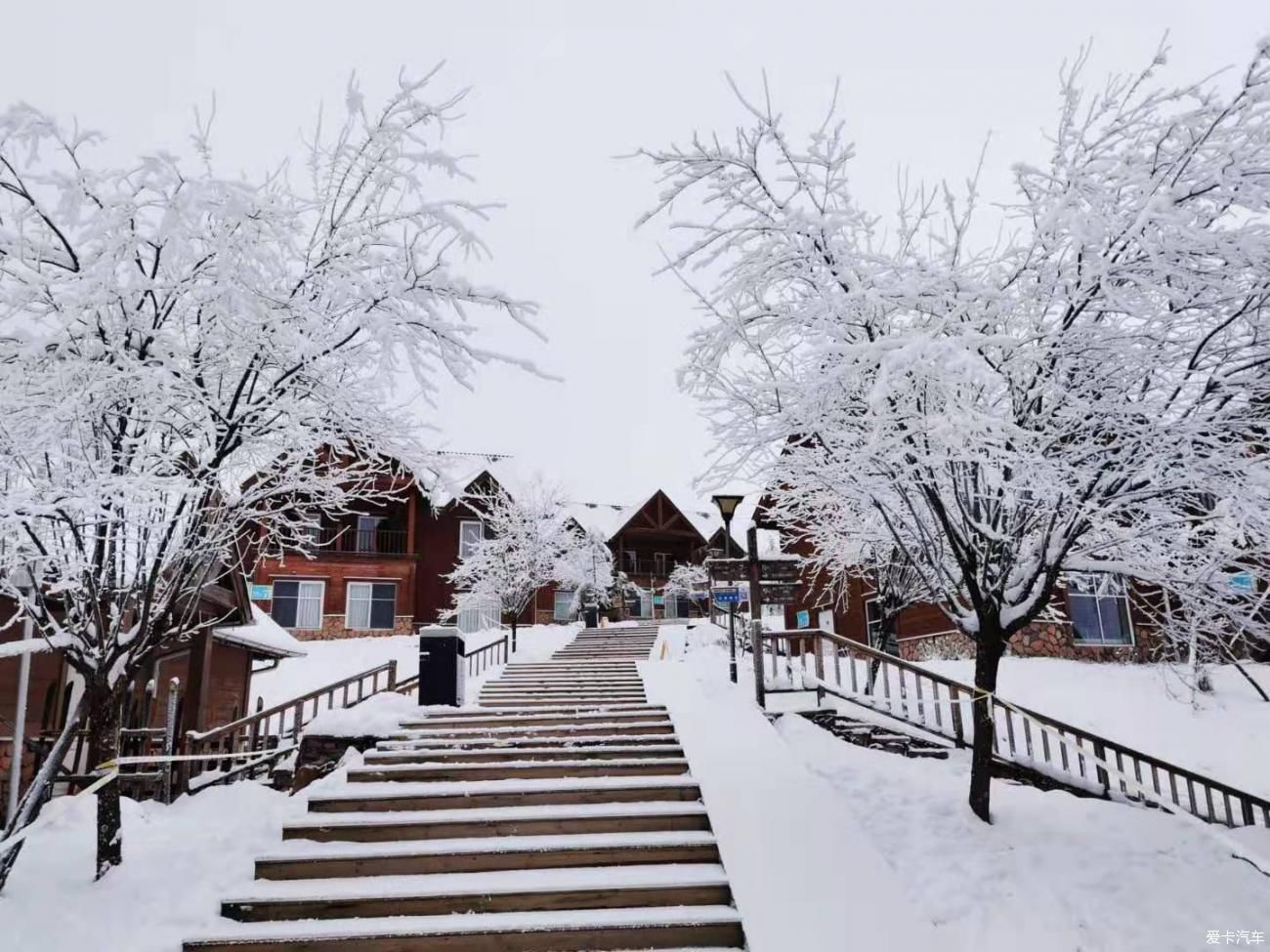 中薪|看雪---西岭雪山两日游