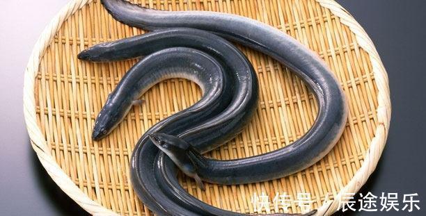 高蛋白|想要衰老不痴呆，生活中坚持吃4种食物，增强抵抗力抑制记忆衰退