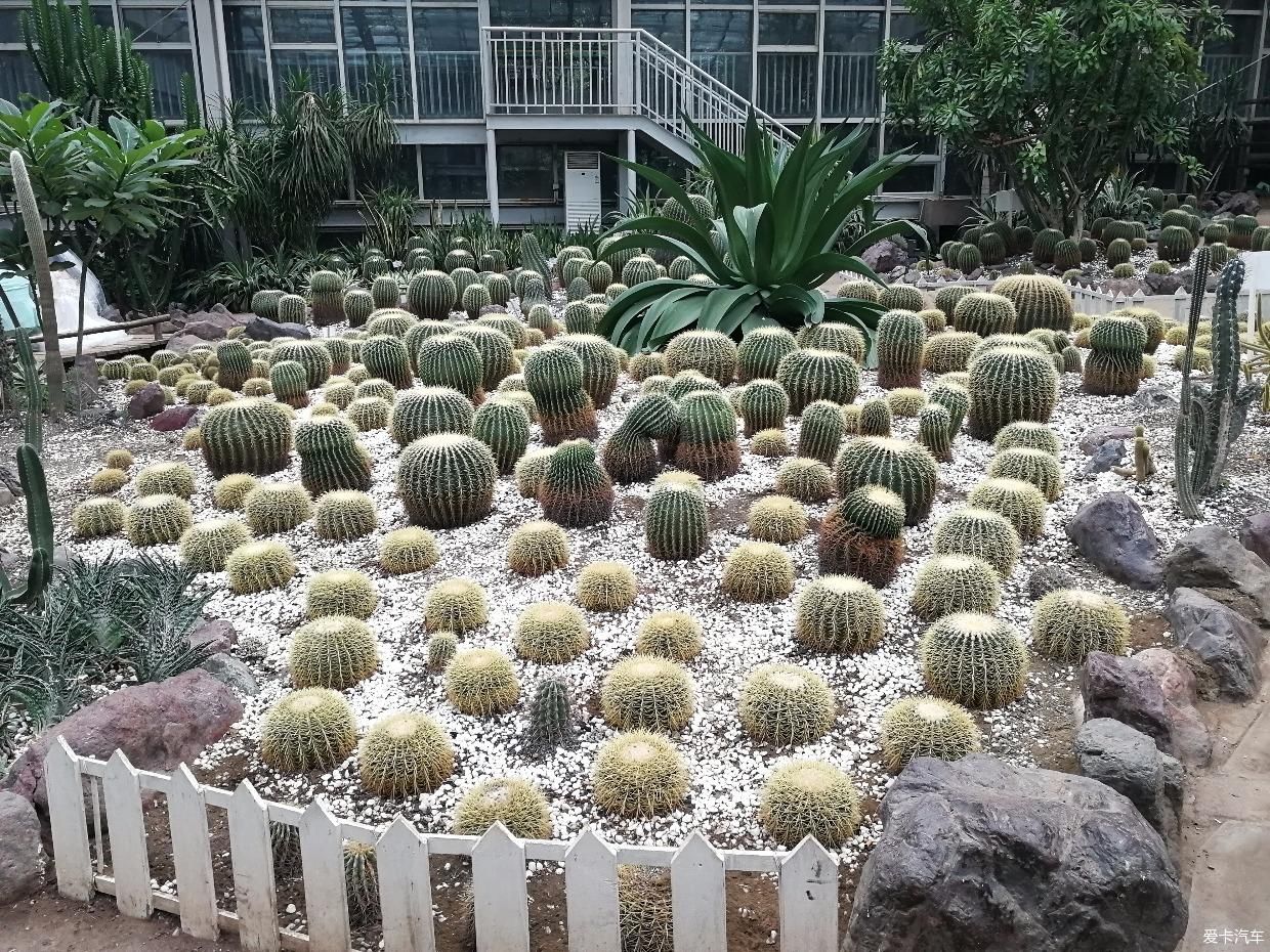 带上家人逛天然氧吧打卡成都植物园