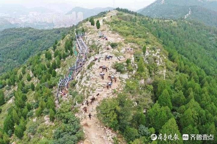 张五军|古老“马帮”穿行济南深山，车轮去不了的地方是他们的主场